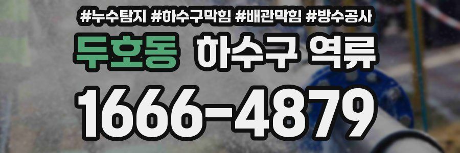 두호동 하수구 역류