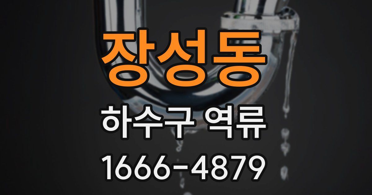 장성동 하수구 역류