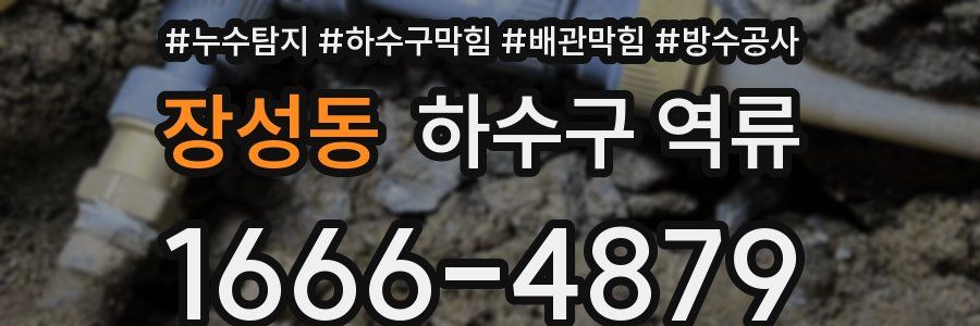 장성동 하수구 역류