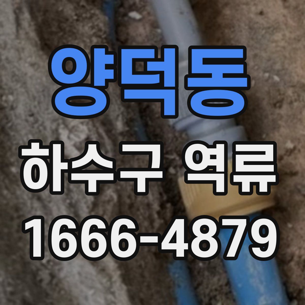 양덕동 하수구 역류
