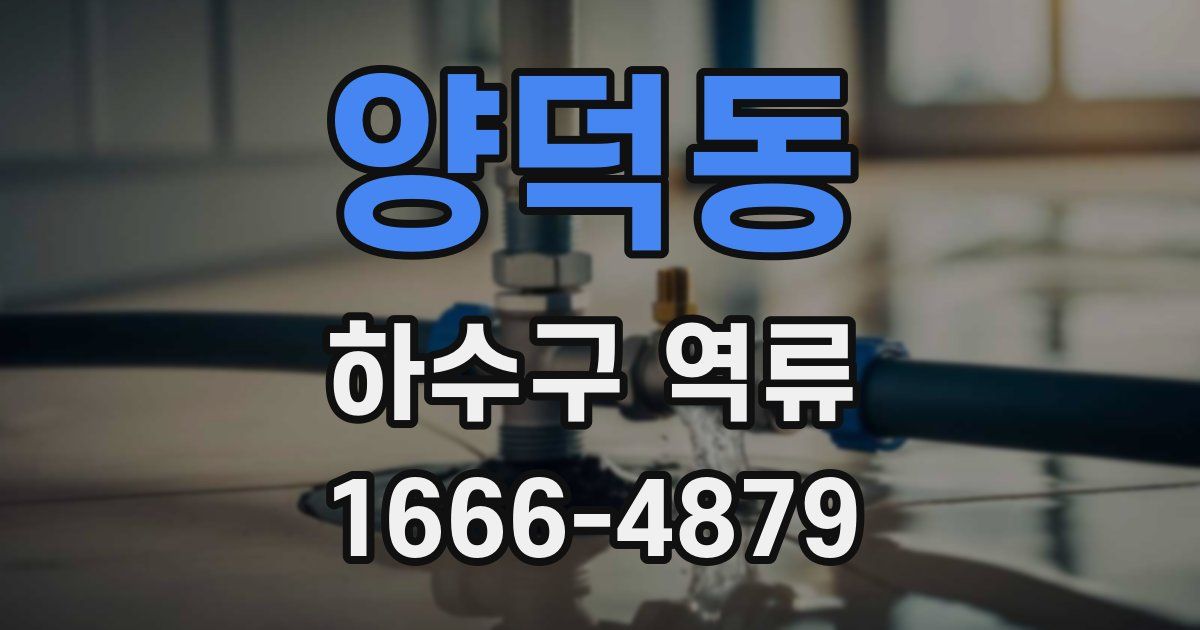 양덕동 하수구 역류