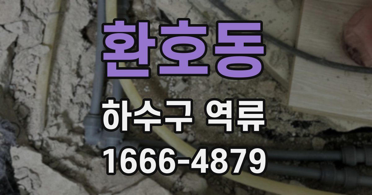 환호동 하수구 역류