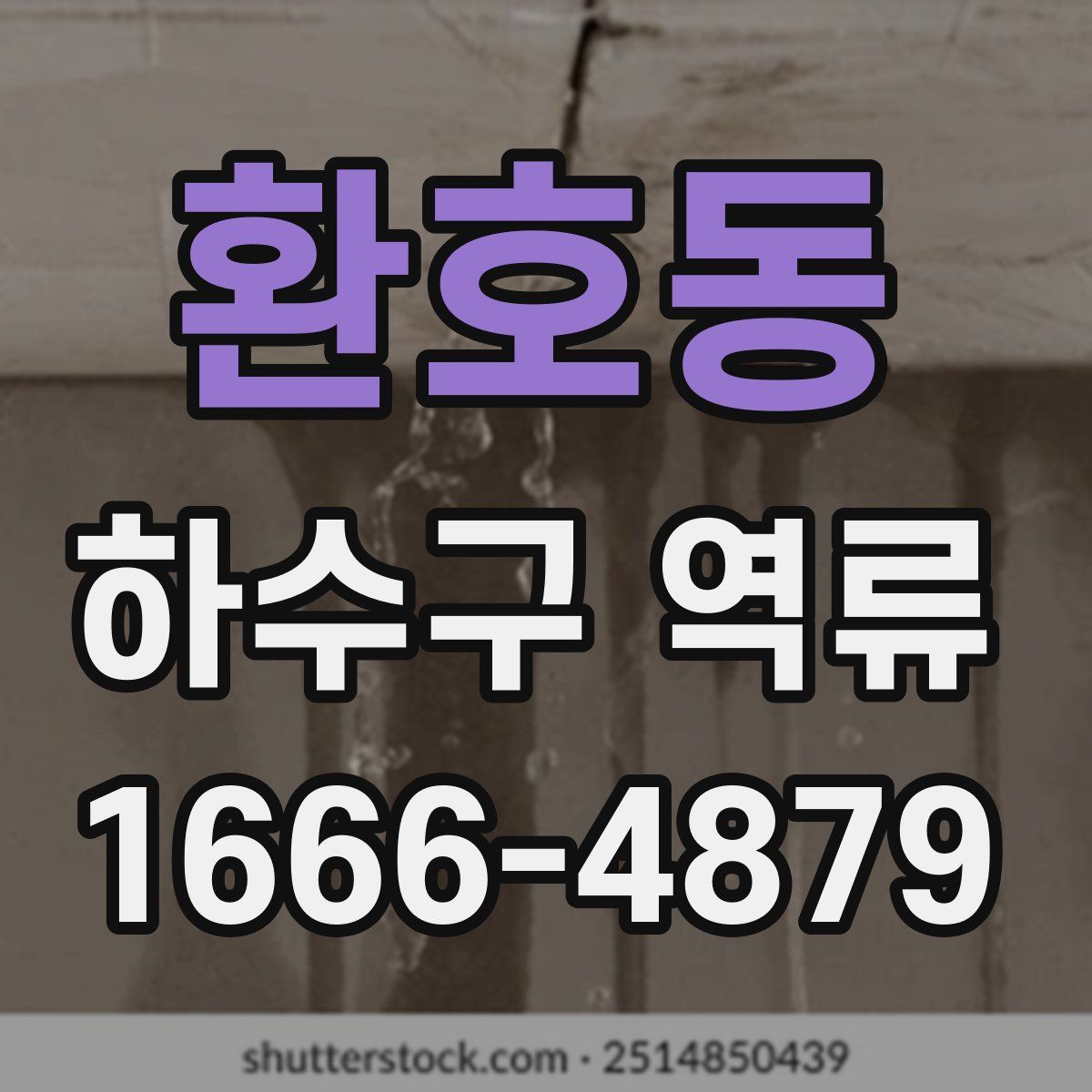 환호동 하수구 역류