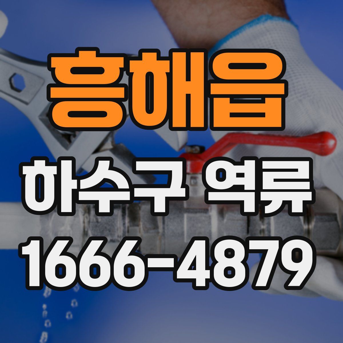 흥해읍 하수구 역류