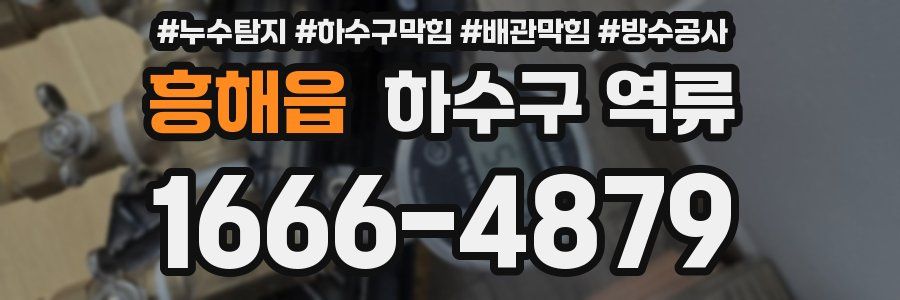 흥해읍 하수구 역류