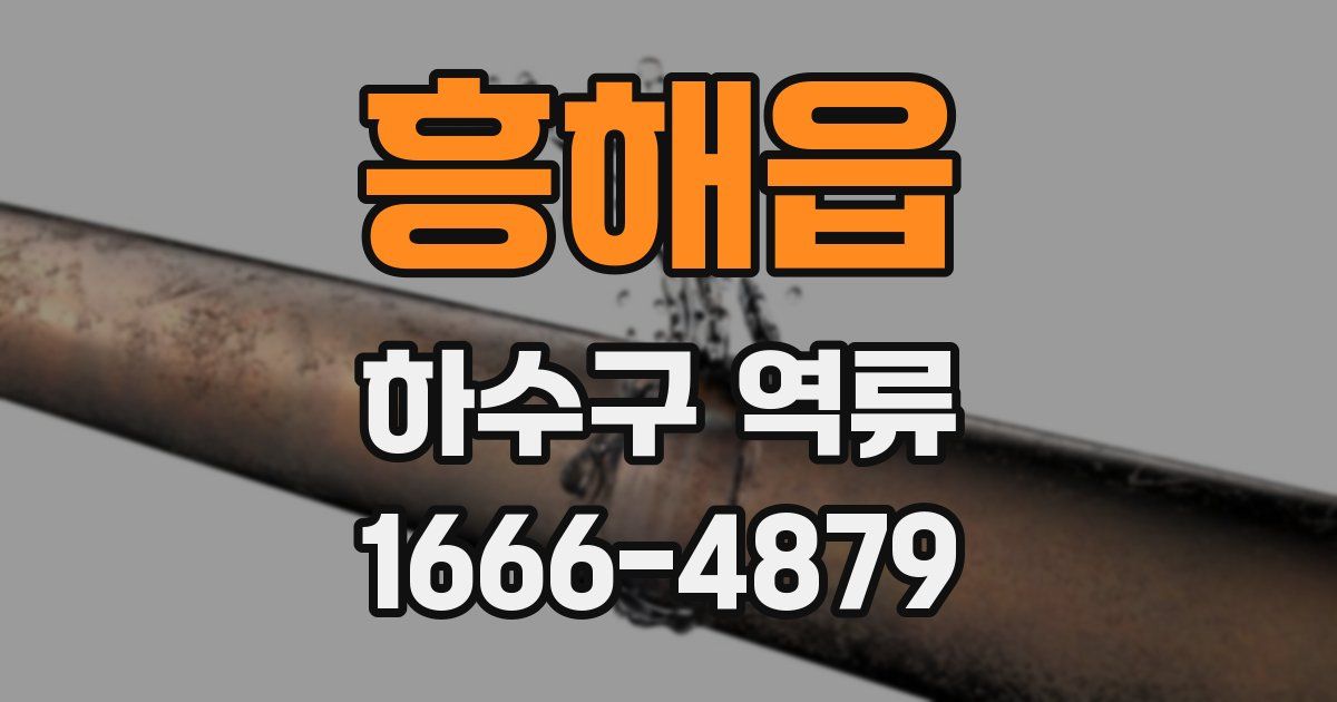 흥해읍 하수구 역류
