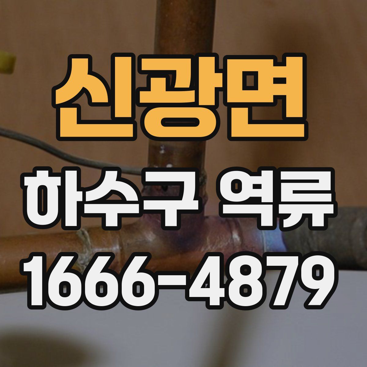 신광면 하수구 역류