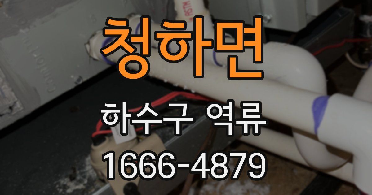 청하면 하수구 역류