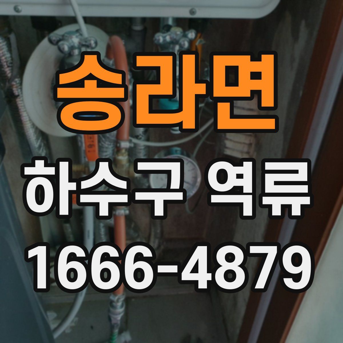 송라면 하수구 역류