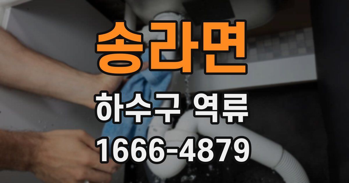 송라면 하수구 역류