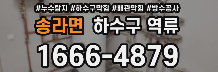송라면 하수구 역류