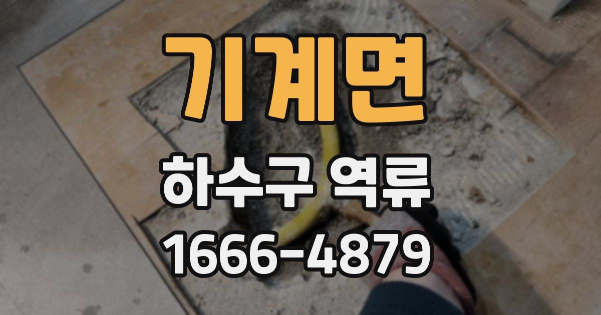 기계면 하수구 역류