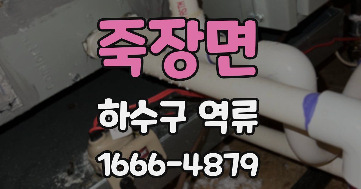 죽장면 하수구 역류