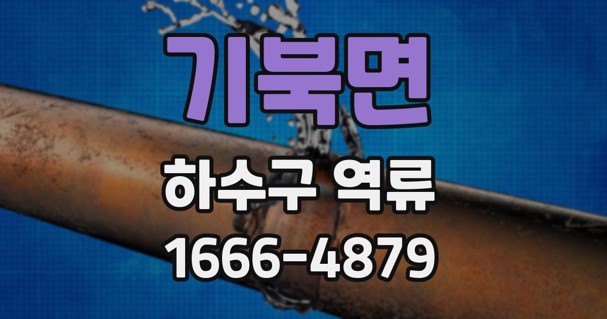 기북면 하수구 역류