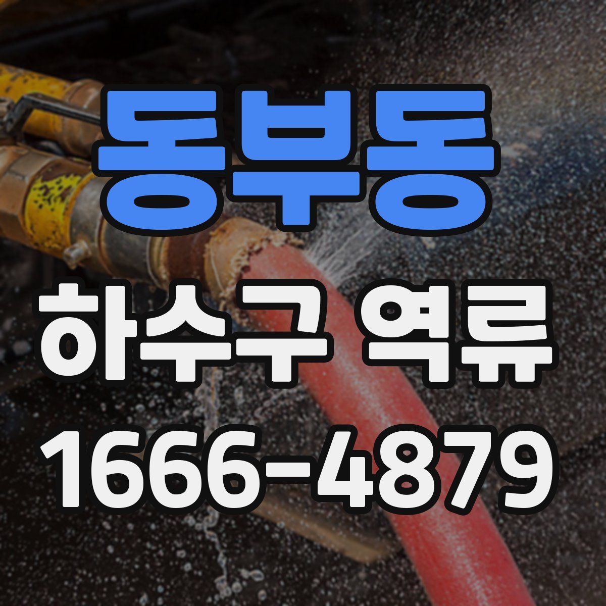 동부동 하수구 역류