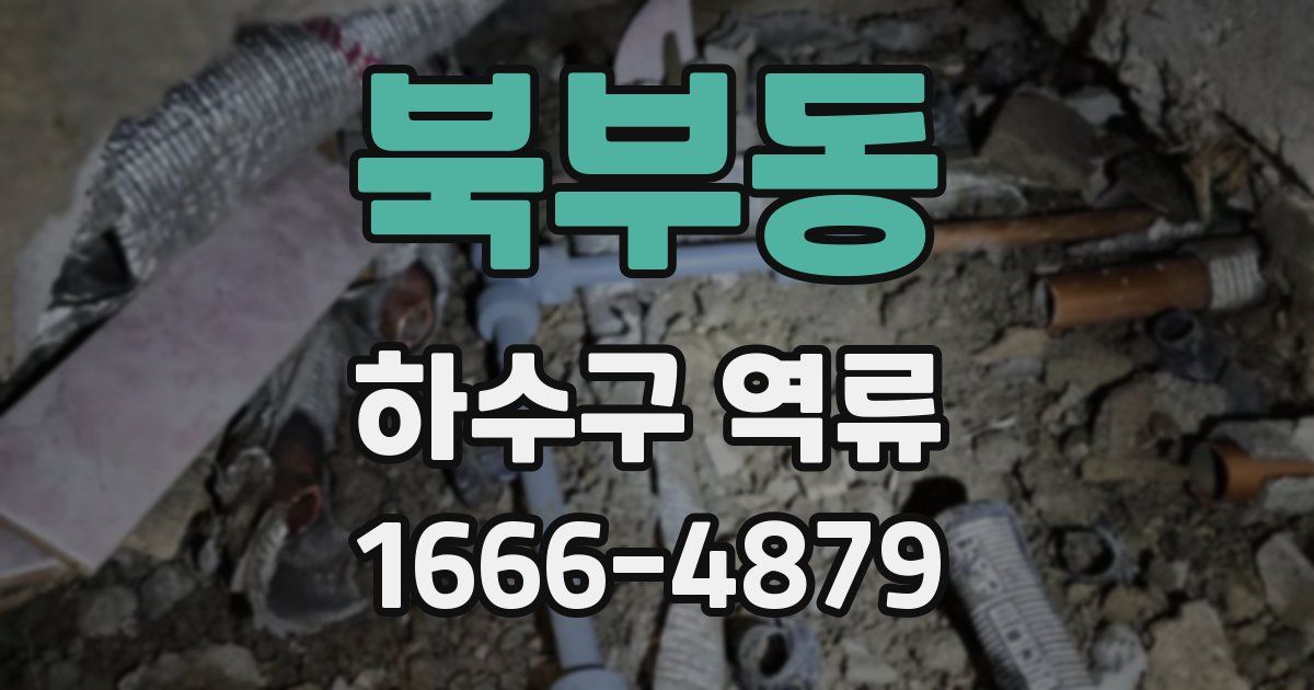 북부동 하수구 역류