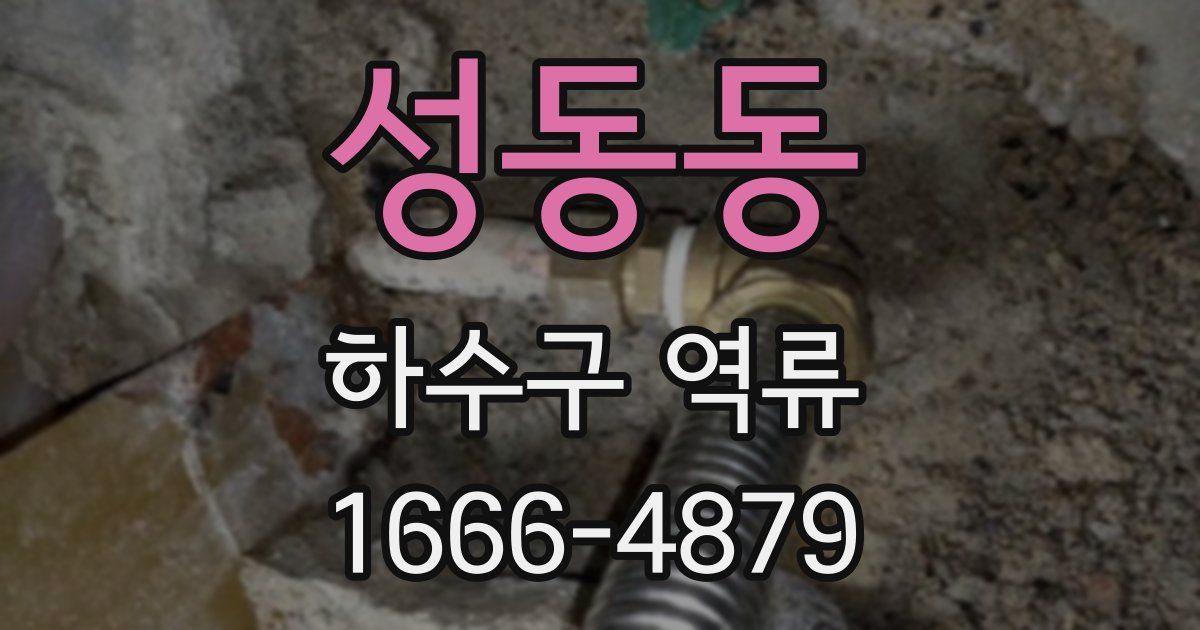 성동동 하수구 역류