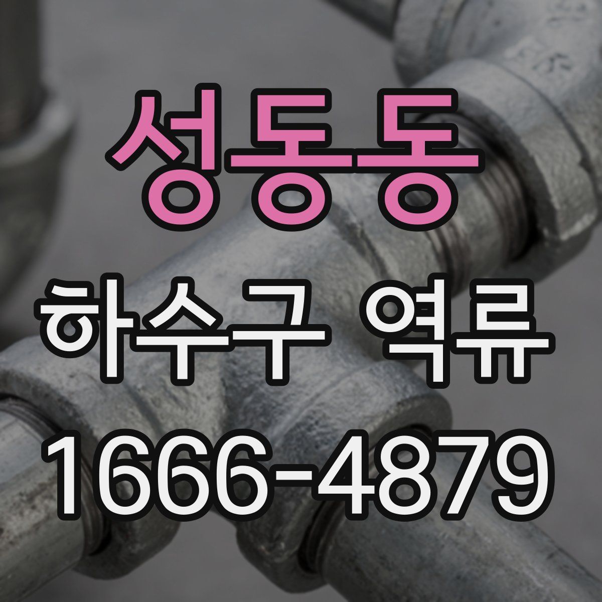 성동동 하수구 역류