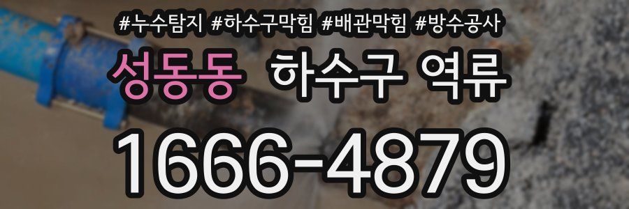 성동동 하수구 역류