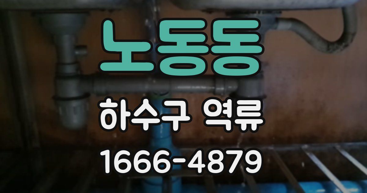 노동동 하수구 역류