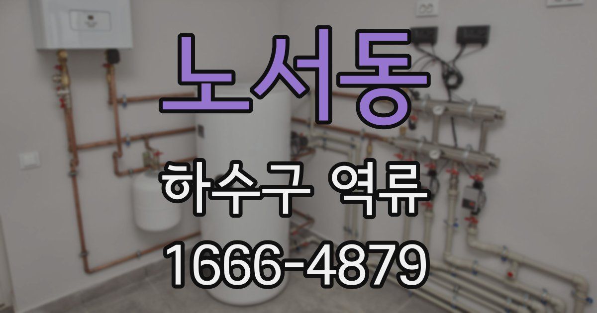 노서동 하수구 역류
