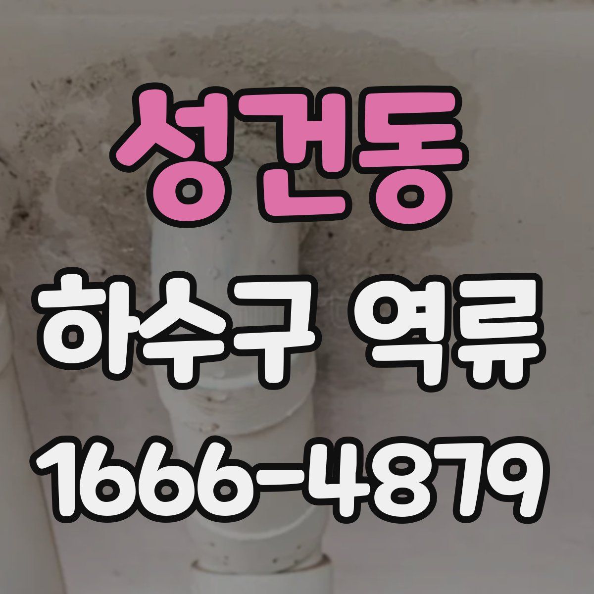 성건동 하수구 역류