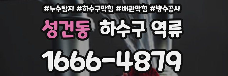 성건동 하수구 역류