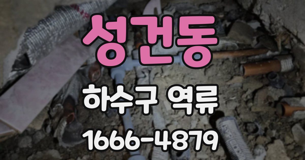 성건동 하수구 역류