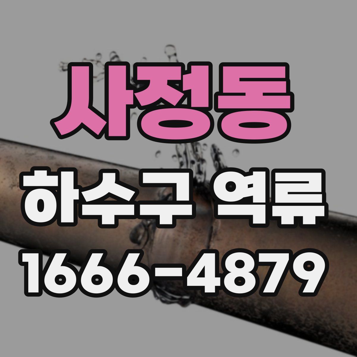 사정동 하수구 역류