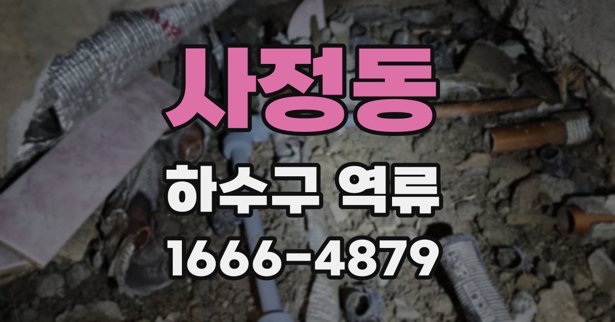 사정동 하수구 역류