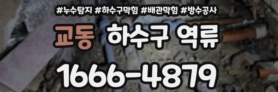 교동 하수구 역류