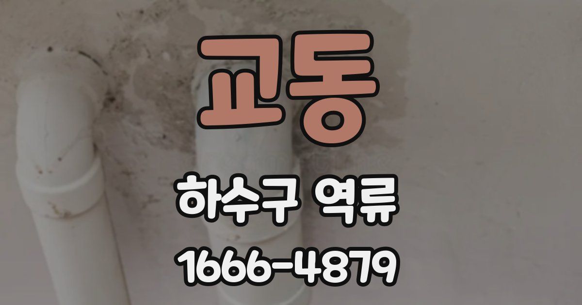 교동 하수구 역류