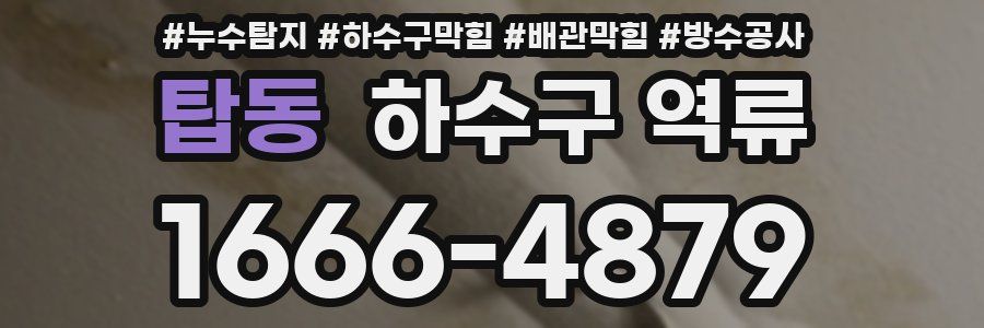 탑동 하수구 역류