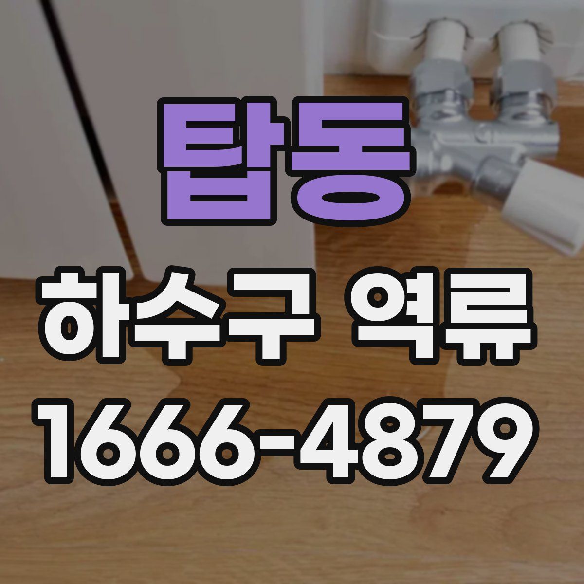 탑동 하수구 역류