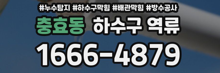 충효동 하수구 역류