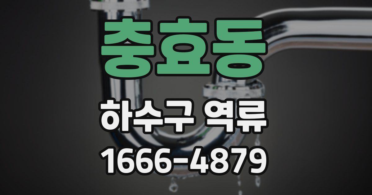 충효동 하수구 역류