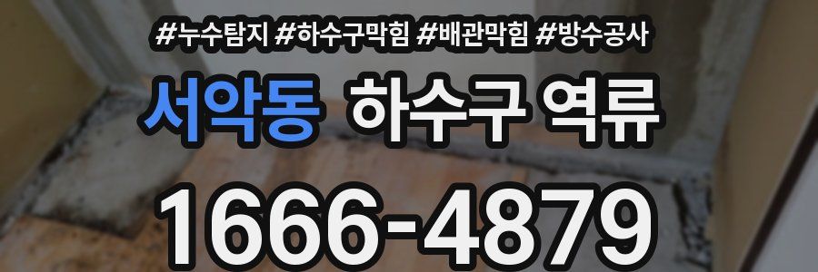 서악동 하수구 역류