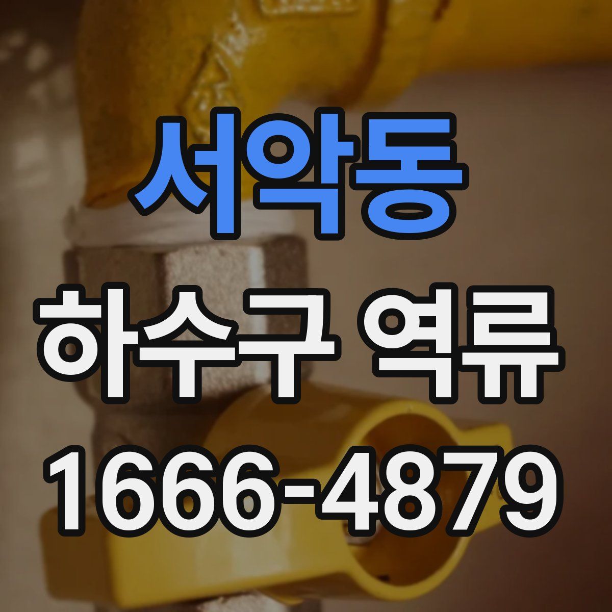 서악동 하수구 역류