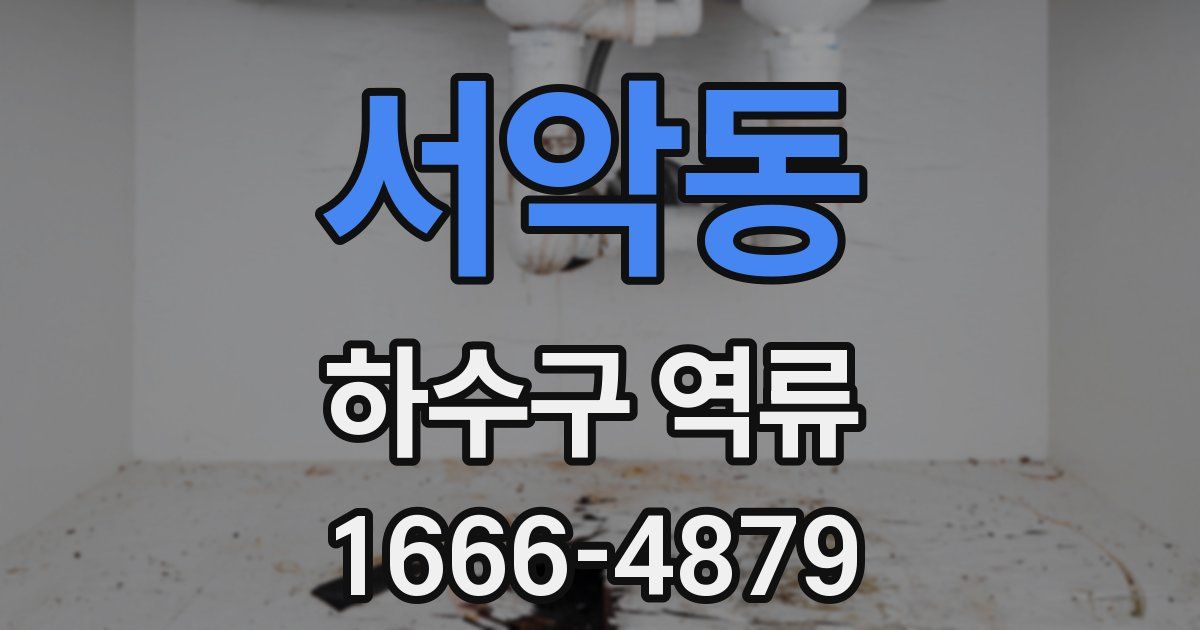 서악동 하수구 역류