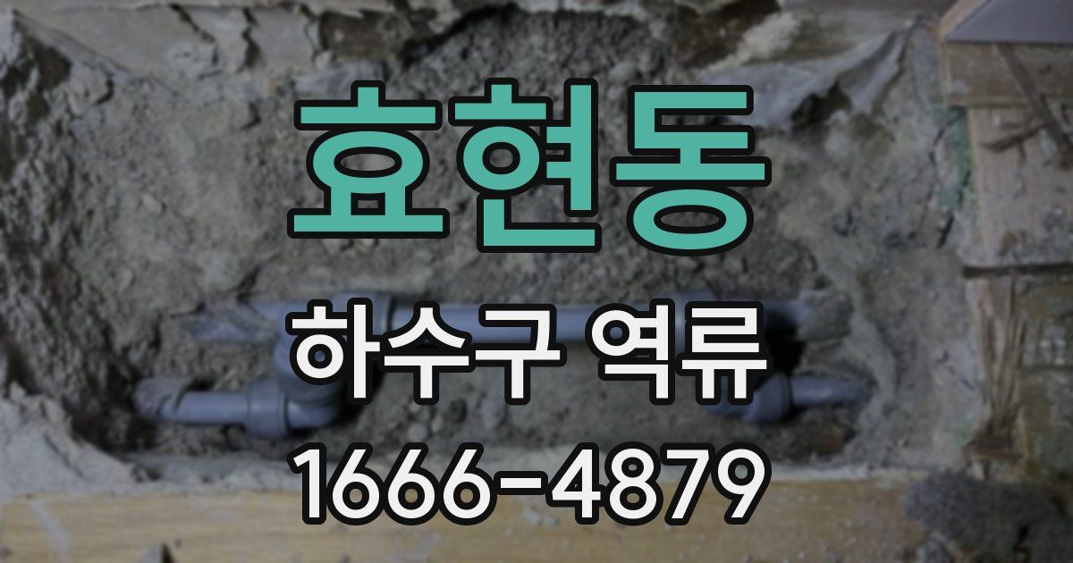 효현동 하수구 역류