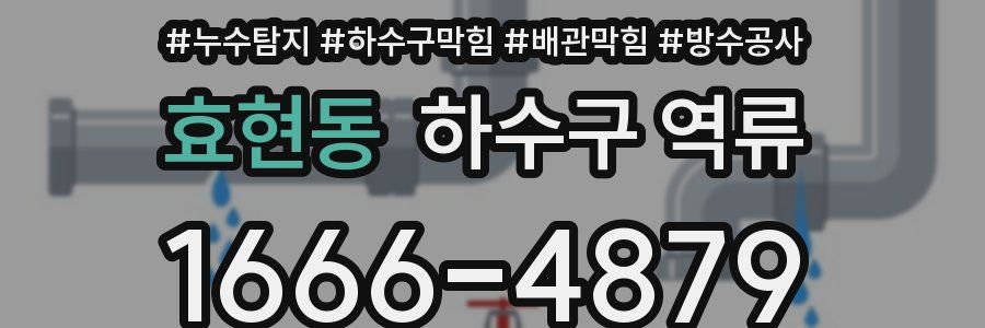 효현동 하수구 역류
