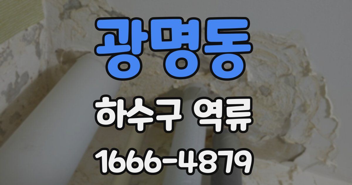 광명동 하수구 역류