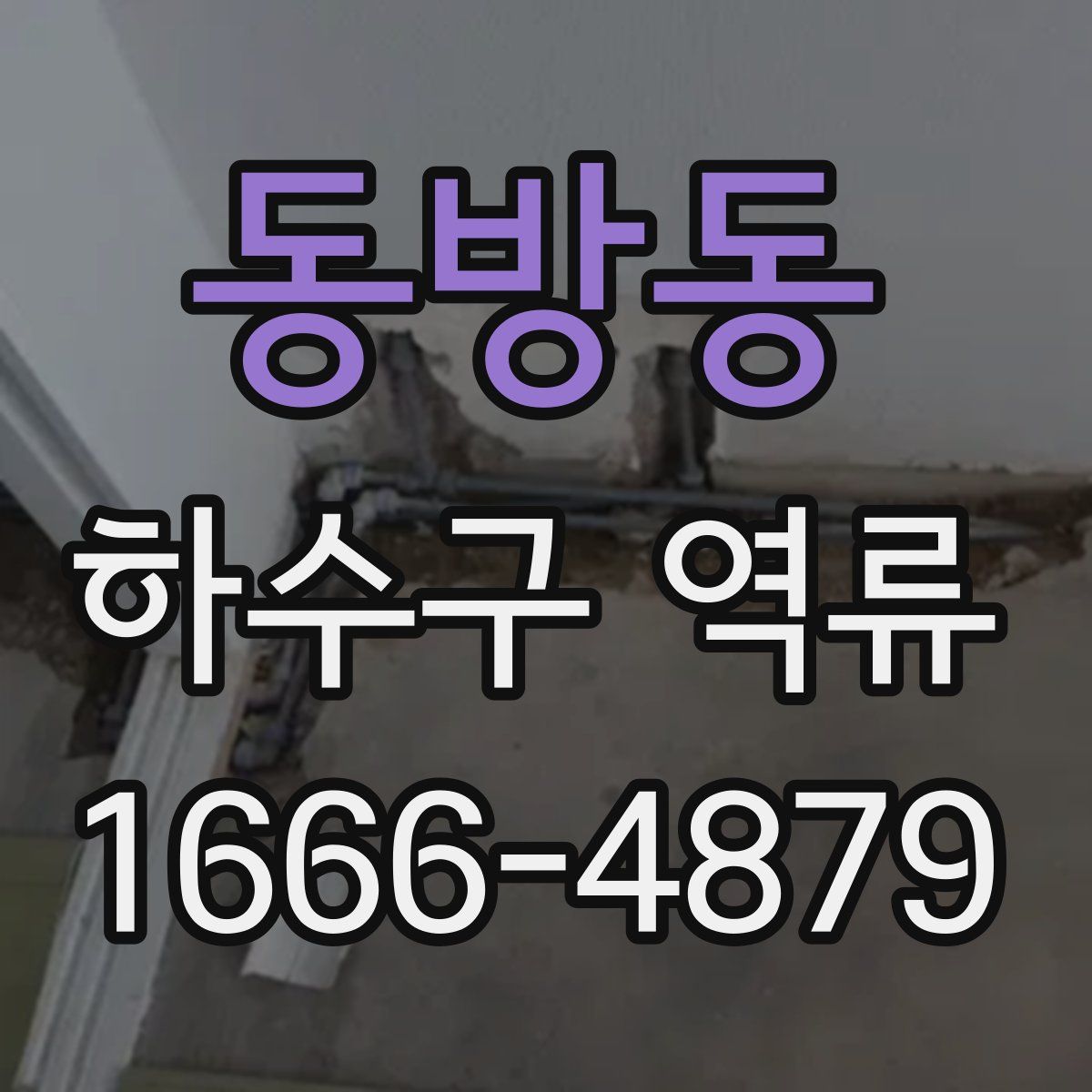 동방동 하수구 역류