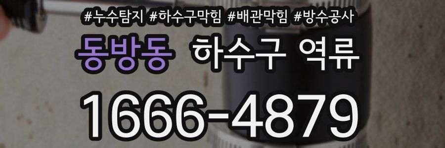 동방동 하수구 역류