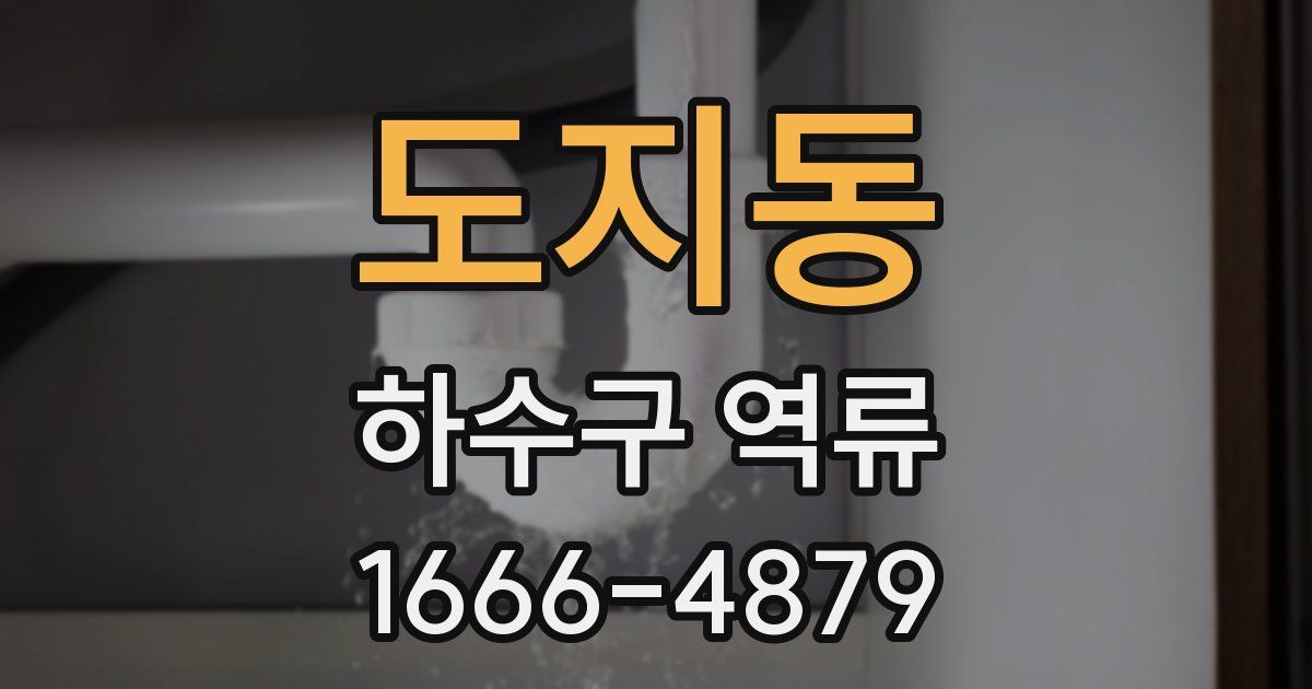 도지동 하수구 역류