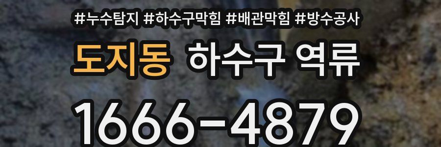 도지동 하수구 역류