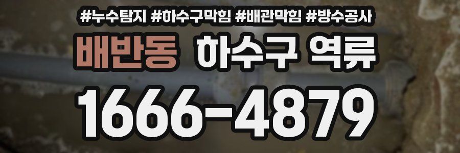 배반동 하수구 역류