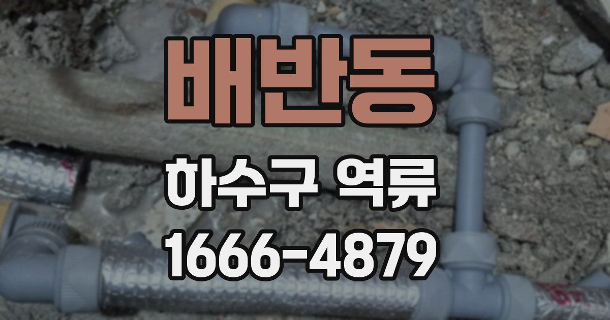 배반동 하수구 역류