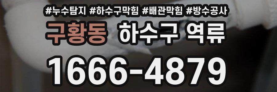 구황동 하수구 역류