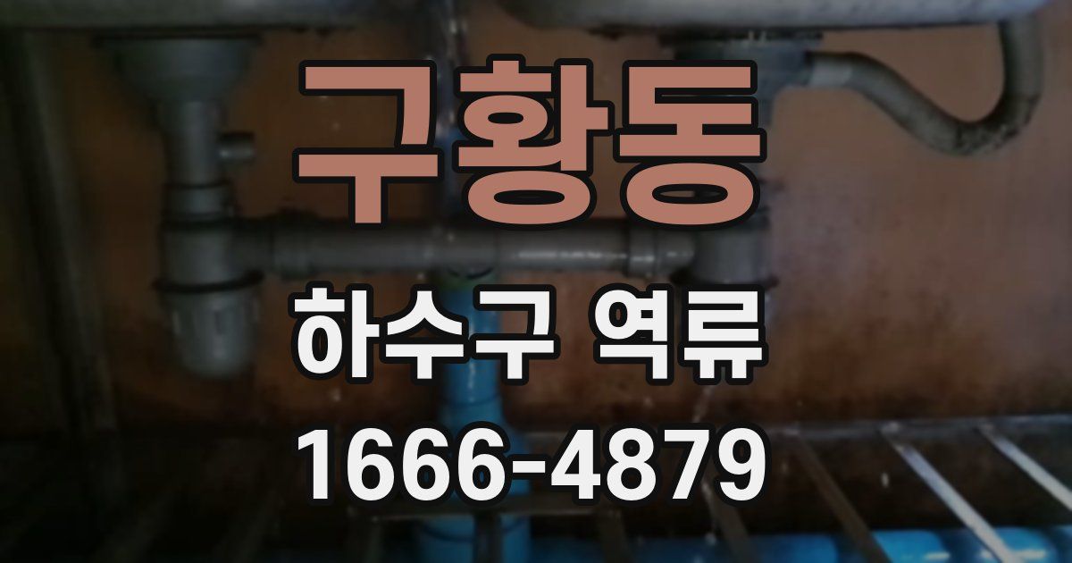 구황동 하수구 역류